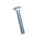 1/4 X 2 CARRIAGE BOLT 316