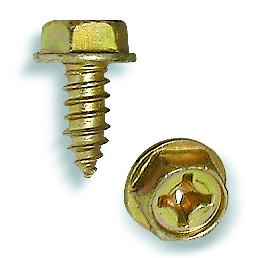 Gold Skull Licence Plate Bolt on Screw with Nut New B49I 6mm Screw 