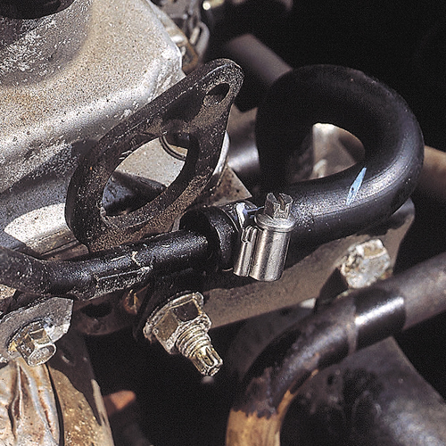Zebra Power Hose Clamp Band 9