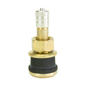 TR501 BRASS TRUCK VALVE 1-1/2"