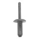 Plastic Rivet 6.6mm