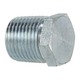3/4 Hex Head Plug