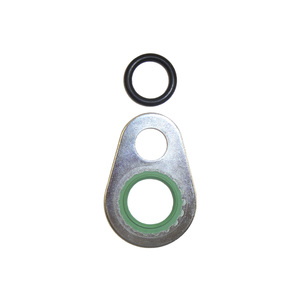 FS20 Discharge Port Seal Wash with O-ring