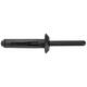 Dodge Blind Rivet Nylon 6.3X13 94Up
