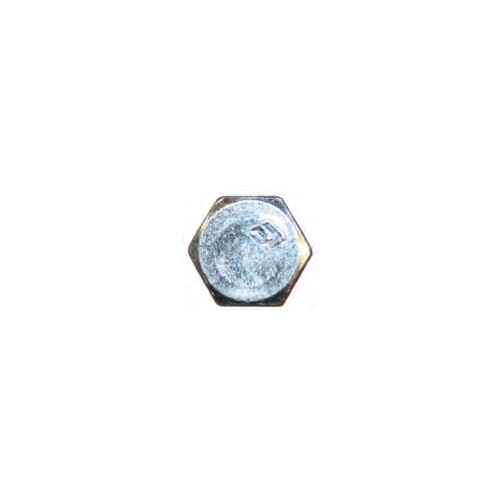 Hex Head Lag Screw Zinc 5/16X1