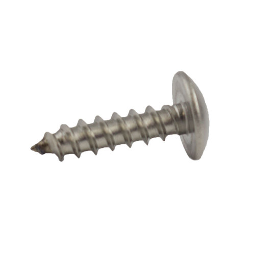 Stainless Steel Phillips Truss Head Screw 