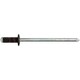 FRONT AND REAR BUMPER SPECIALTY RIVET