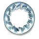 Internal Serrated Washer 6MM Zinc