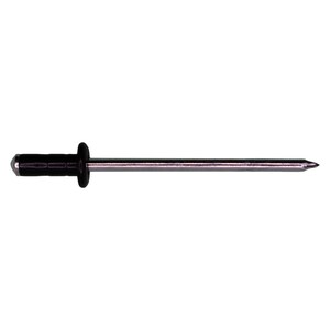 RIVET