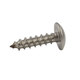 Stainless Steel Phillips Truss Head Screw 