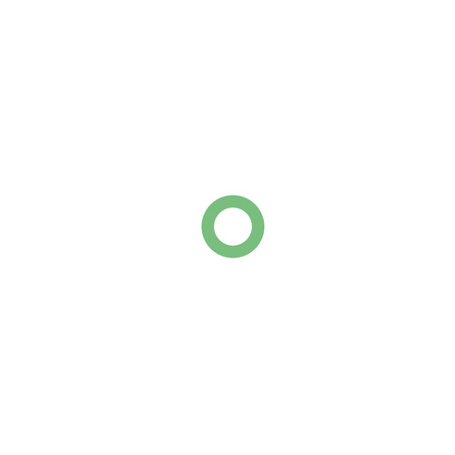 Rover Euro Metric O-Ring Green
