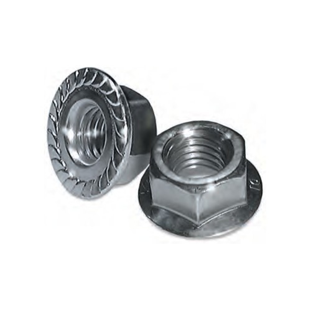 Stainless Steel 1/4-20 Serrated Flange Nut 20 Pack 