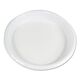 Hi-Impact Plastic Dinnerware, Plate, 10