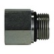 1X1-11 Female Adapter BSPP