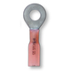 1/4 Ring Crimp and Seal Connector 18-20