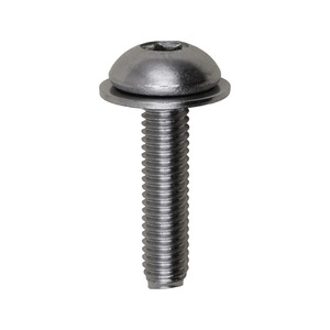 Ford Mirror Screw - Pickups