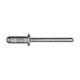 Specialty Rivet