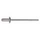 Aluminum Rivet with Plastic Cap Steel Mandrel