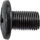 Phillips Pan Head License Plate Screw M6-1.0 X 16MM