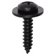 Tap Screw Phillips Pan Head Sems Screw