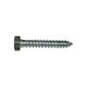 Hex Head Lag Screw Zinc 5/16X1