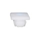 GM License Plate Nut