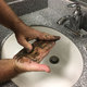 PX3 Plus Hand Cleaner