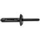 Black Nylon Rivet
