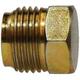 3/4 BRASS INVERTED FLARE PLUG