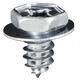 Phillips Hex Head SEMS Tapping Screw