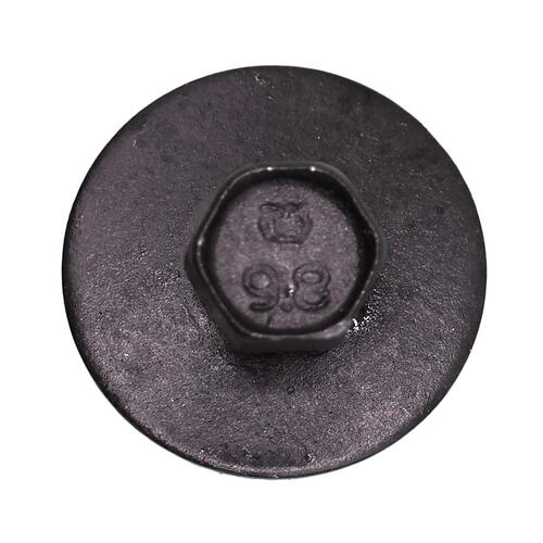 Hex Head Sems Dog Point 6X20