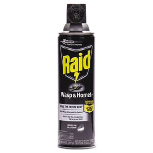 Wasp and Hornet Killer, 14 oz Aerosol Spray, 12/Carton