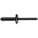 Plastic Rivet 5mm (1/8-15/64)