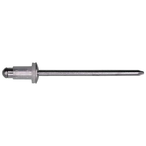 Lexus Rivet