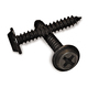 Phillips Self-Tapping Pan Head Screw Black #8X7/8