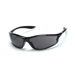 NSI XP® 610 Gray Lens Safety Glasses