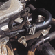 Zebra Power Hose Clamp Band 9