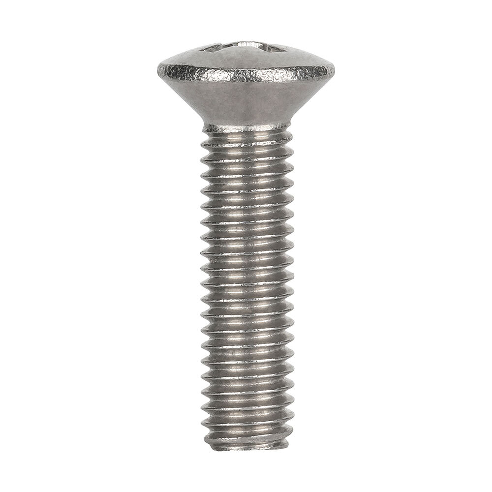 250 Vis à Tôle Tête Ovale #10 X 2 Pouces - Acier Inoxydable 18-8, Empreinte Carrée - Neuf Fastenere