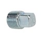 1 Square Head Plug