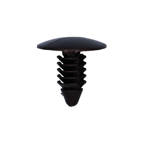Plastic Shield Retainer (1978-on)