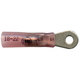 Supreme Solder/Seal #6 Stud Ring Connector - Red - 22-18 AWG