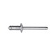 Specialtiy Rivet (For Ford)