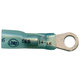 Supreme Solder/Seal #10 Stud Ring Connector - Blue - 16-14 AWG