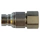 3/4 BODY x 1 FNPT Plug ISO-A Interchange