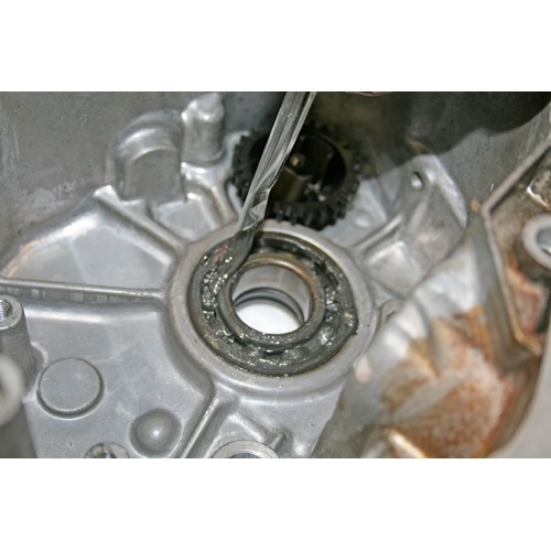 Bearing Grease 1000 Gram Can