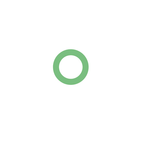 10P13/15 Carbon Shft Seal O-Ring