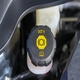 Berkenbile DOT 4 Brake Fluid 1 QT