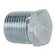 1-1/2 Hex Head Plug