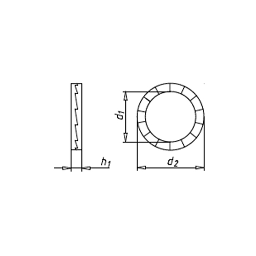 M14 Nord-Lock Washer, narrow shape