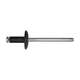 Blind Rivet